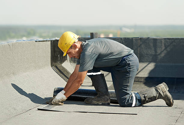 Best Geographic-Specific Insulation Services in Fayetteville, GA