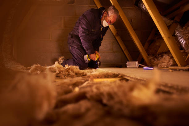 Best Insulation Maintenance and Repair in Fayetteville, GA